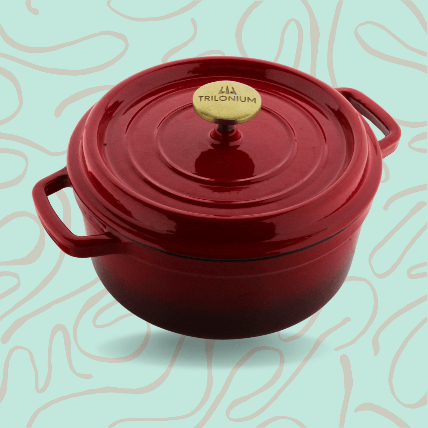 Trilonium Enamel Cast Iron Dutch Oven Biryani Pot 24 cms, 4.2L, 4.4 Kgs