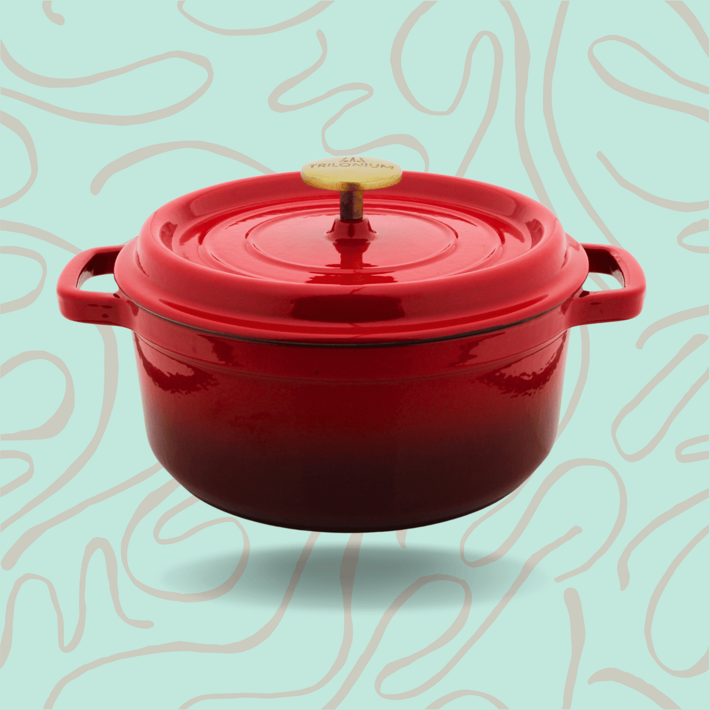 Trilonium Enamel Cast Iron Dutch Oven Biryani Pot 24 cms, 4.2L, 4.4 Kgs